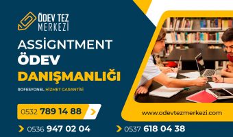 assigntment-odev-danismanligi