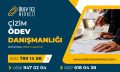 cizim-odev-danismanligi