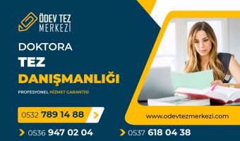doktora-tez-danismanligi