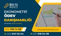 ekonometri-odev-danismanligi