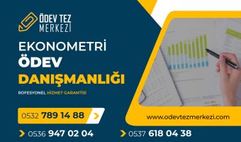 ekonometri-odev-danismanligi