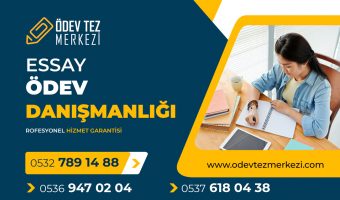 essay-odev-danismanligi