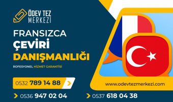 fransizce-ceviri-danismanligi