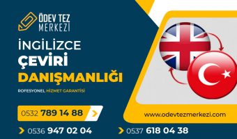 ingilizce-ceviri-danismanligi