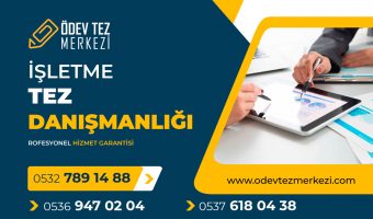isletme-tez-danismanligi