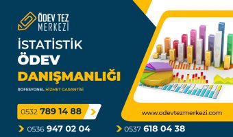istatistik-odev-danismanligi
