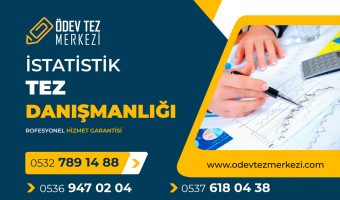 istatistik-tez-danismanligi
