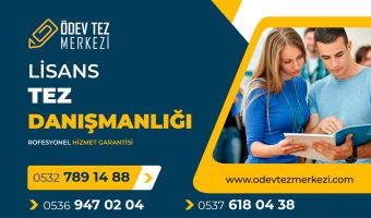 lisans-tez-danismanligi