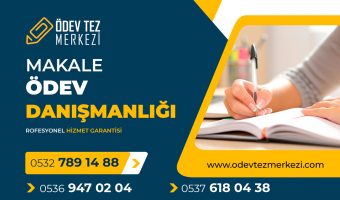 makale-odev-danismanligi