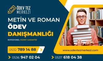 metin-ve-roman-odev-danismanligi