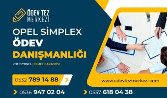 opel-simplex-odev-danismanligi