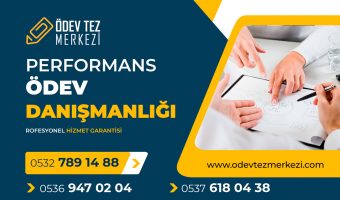 performans-odev-danismanligi