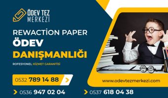 rewaction-paper-odev-danismanligi