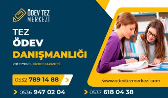 tez-odev-danismanligi
