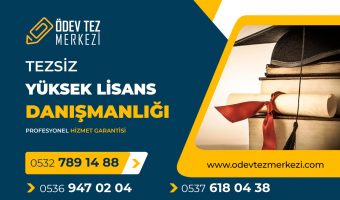 tezsiz-yuksek-lisans-danismanligi