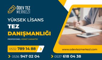yuksek-lisans-tez-danismanligi