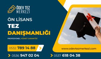 on-lisans-tez-danismanligi